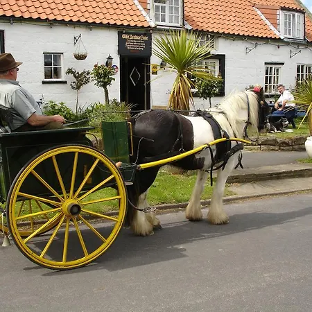 The Beehive Nocleg ze śniadaniem 4*